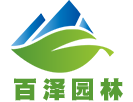 四川绿化苗木_苗木基地_苗木价格_苗木批发-四川百泽园林有限公司